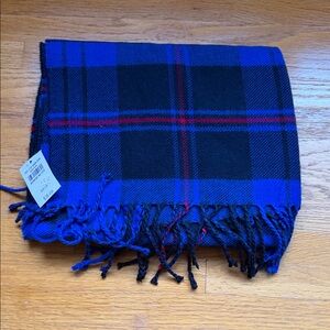 Abercrombie & Fitch Blue and Black Checkered Scarf